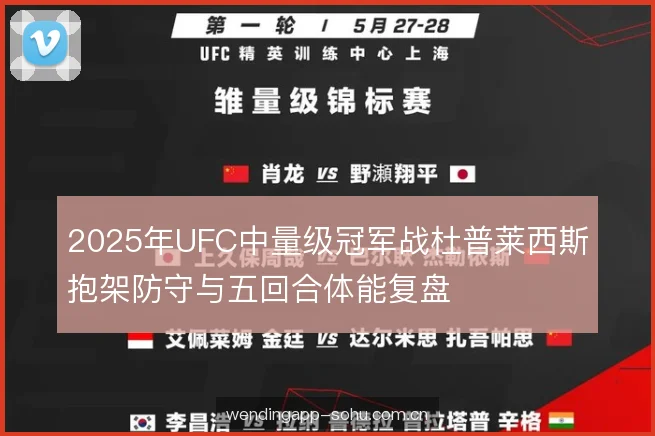 2025年UFC中量级冠军战杜普莱西斯抱架防守与五回合体能复盘