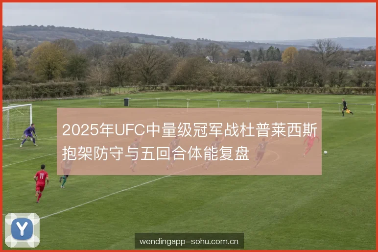 2025年UFC中量级冠军战杜普莱西斯抱架防守与五回合体能复盘