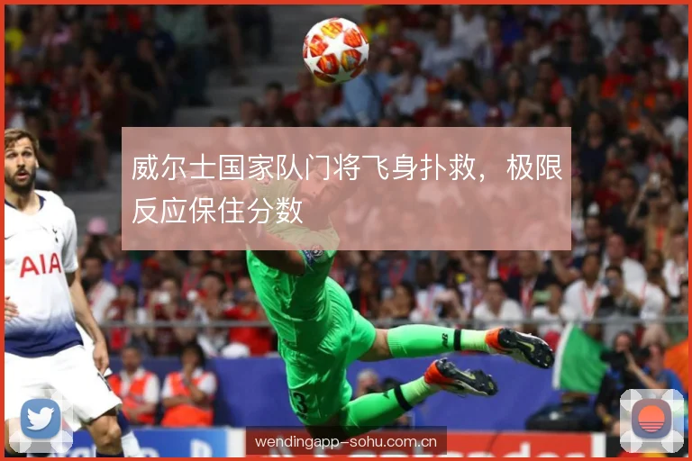 威尔士国家队门将飞身扑救,极限反应保住分数 威尔士国家队门将飞身扑救,极限反应保住分数